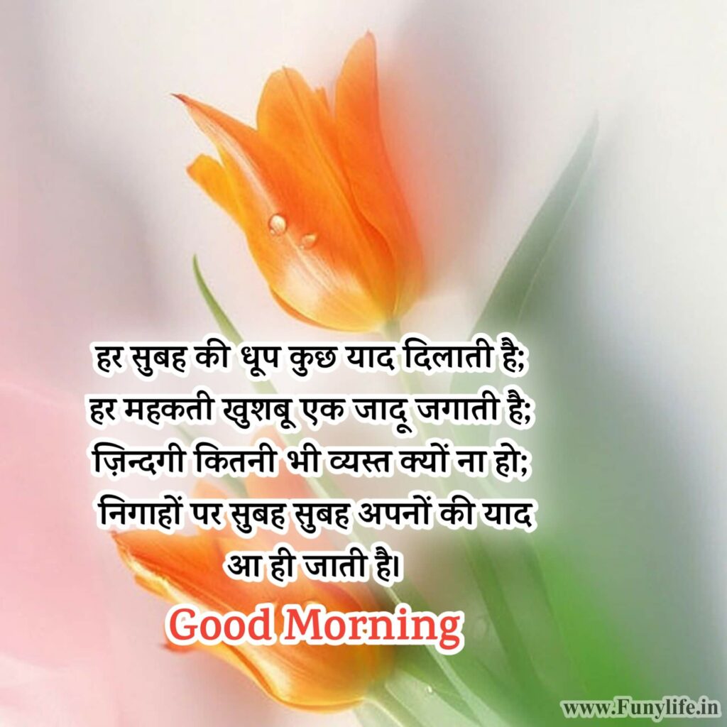 Good Morning Shayari Zindagi