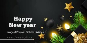 Read more about the article 505+ Best Happy New Year Images & Pictures