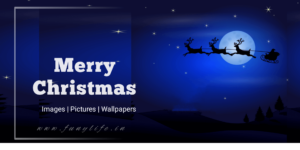 Read more about the article 50+ New Beautiful Merry Christmas images & Pictures
