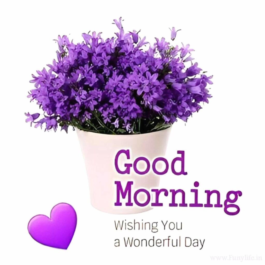 Good Morning Images God