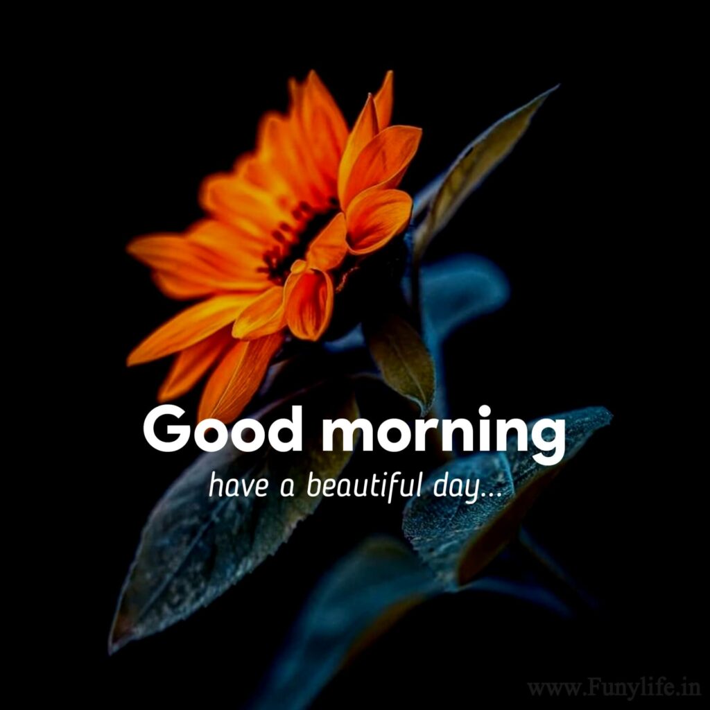 Good Morning Images Love
