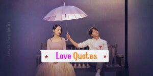 Read more about the article [1109+] Romantic Love Quotes to Share on Valentine’s Day