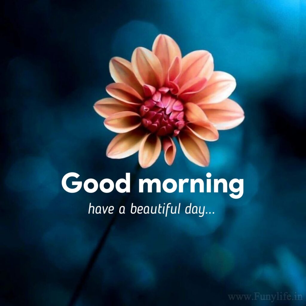 Good Morning Images new