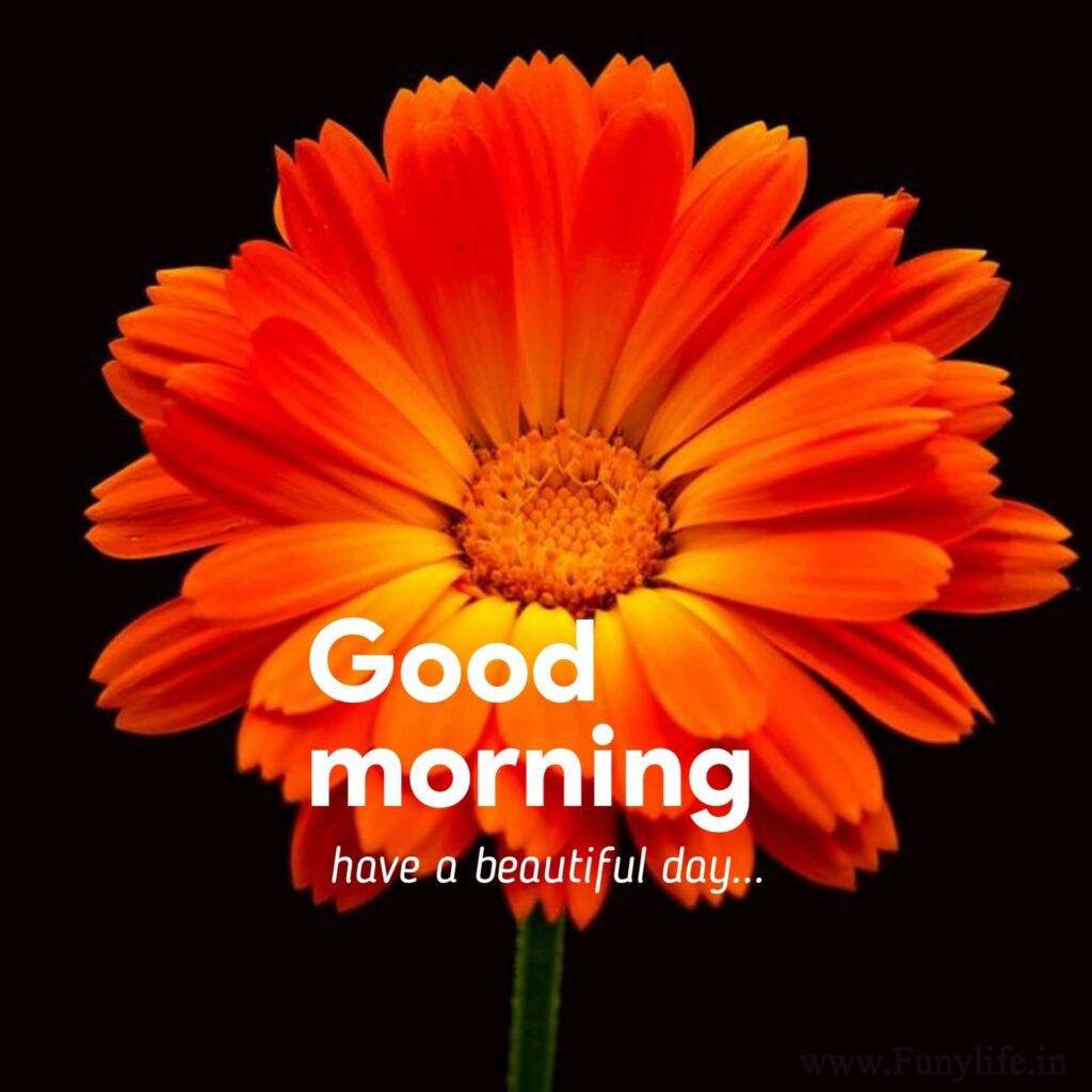 Good Morning Images new