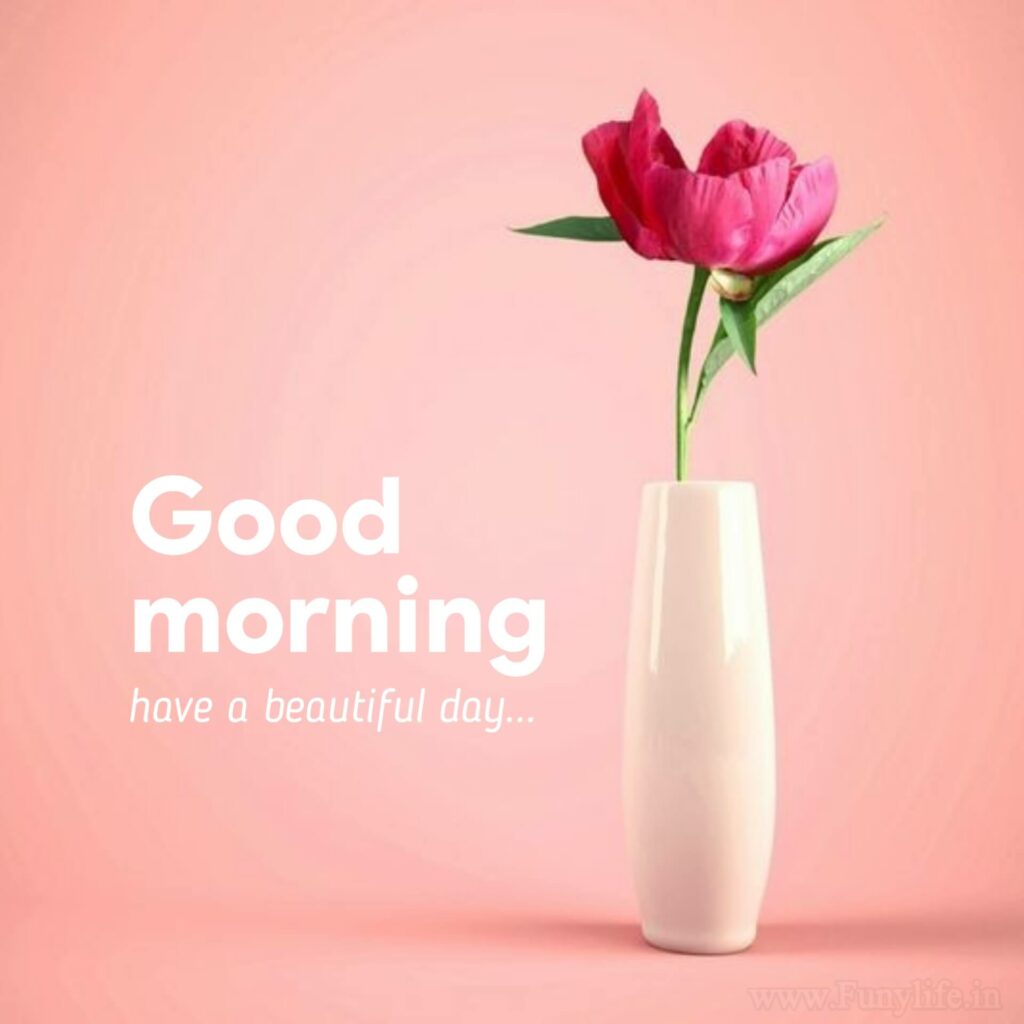 Cute Good Morning Images.