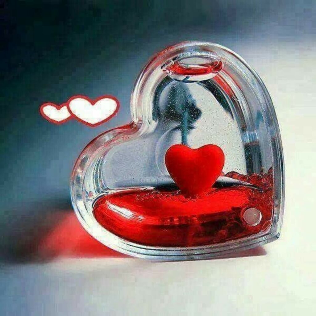 Images for WhatsApp Dp