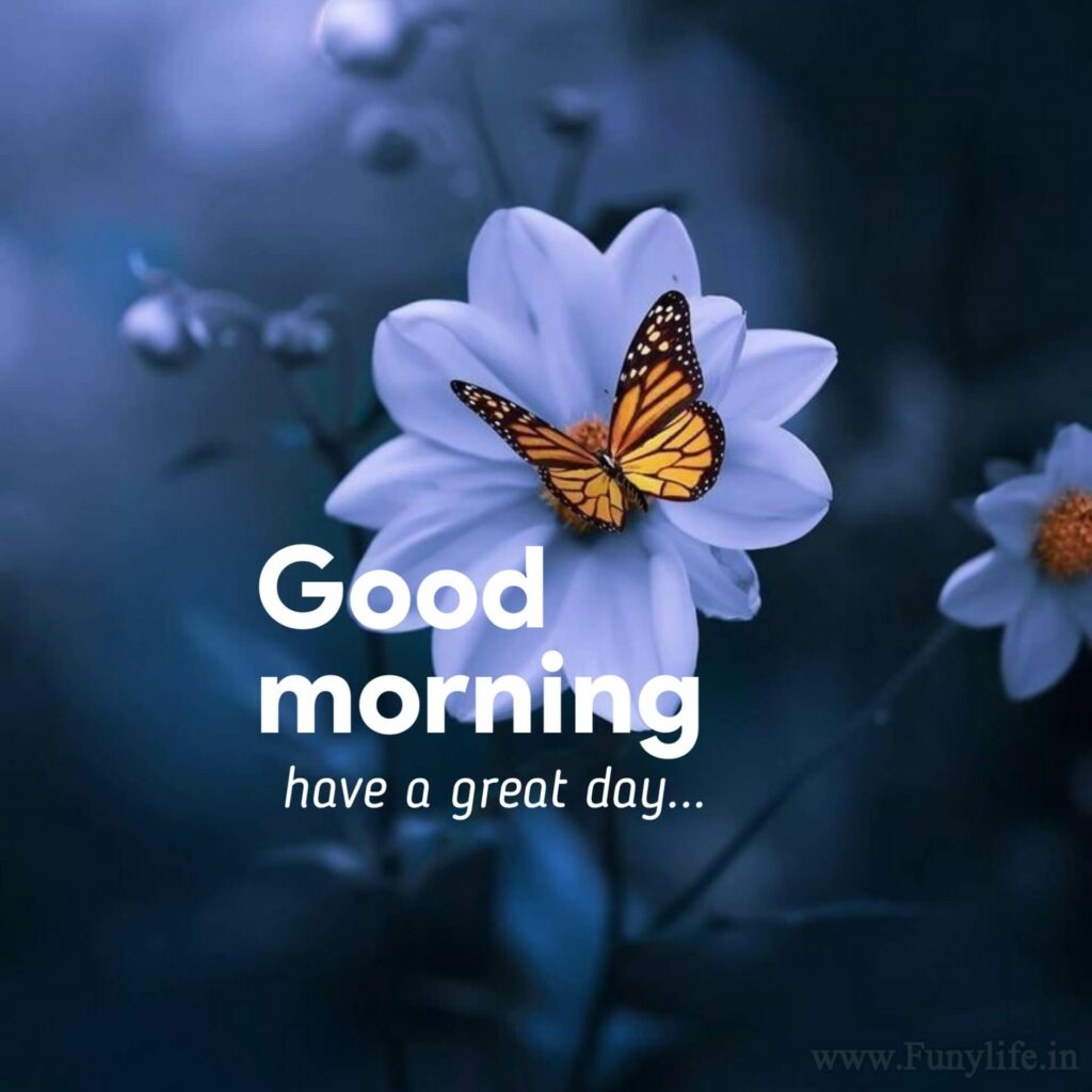 Good Morning Images for Whatsapp