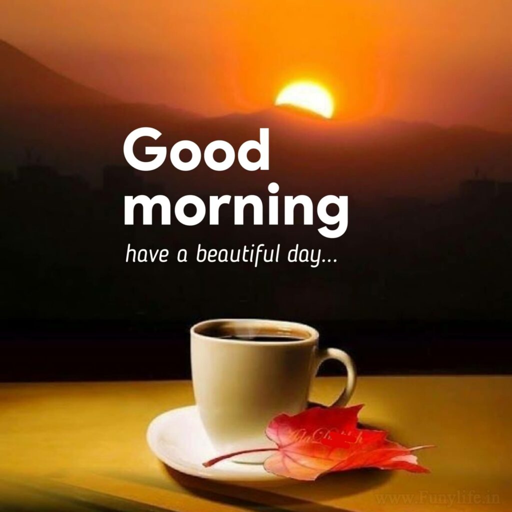 Good Morning Images Love