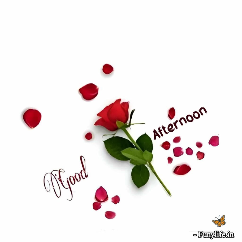 Beautiful Good Afternoon Images HD