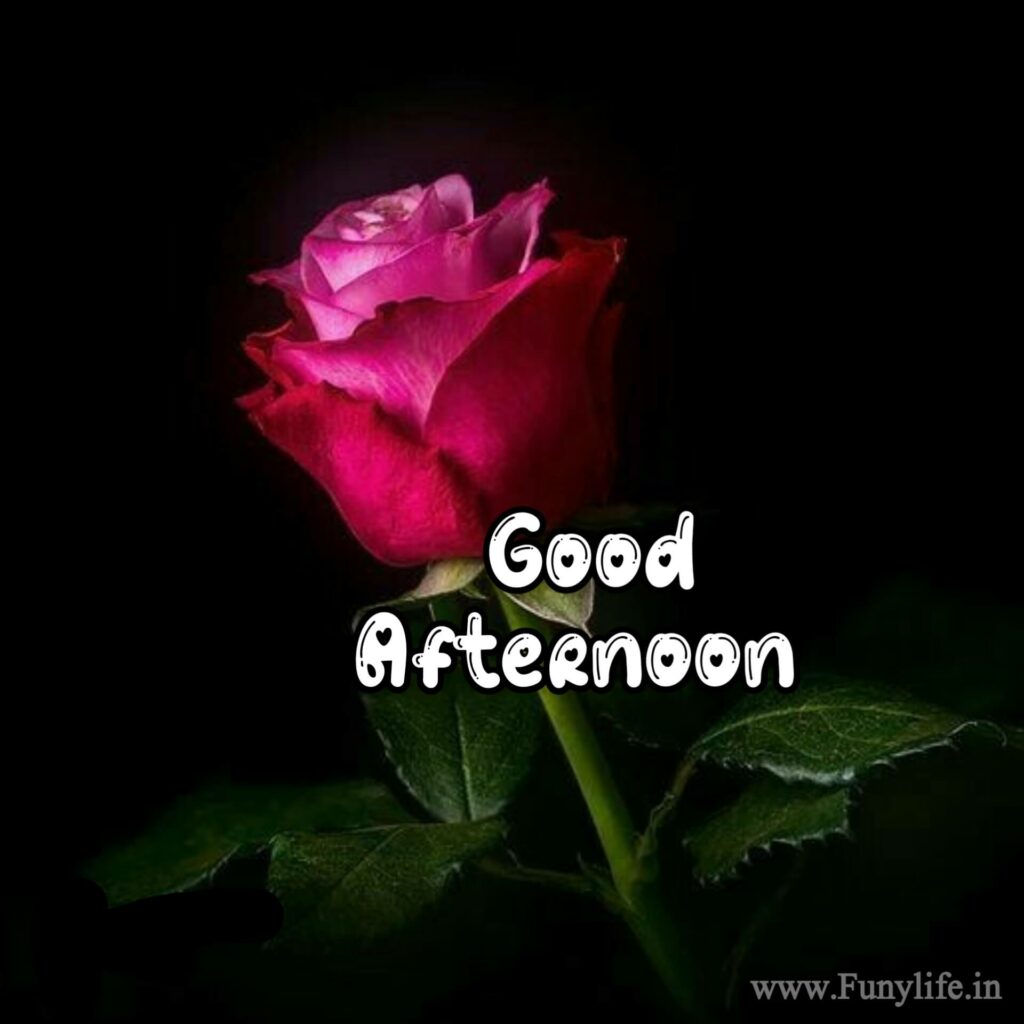 Best Good Afternoon Images with lunch