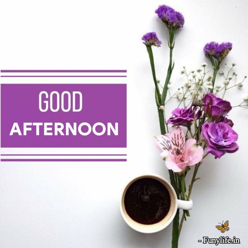 Best Good Afternoon Images with lunch