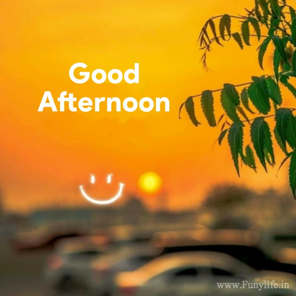 Good Afternoon Images For Whatsapp