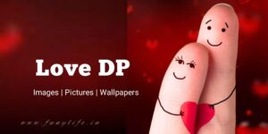 Read more about the article [1999+] Love Dp, Images, Photos, Pictures & Wallpapers (2025)