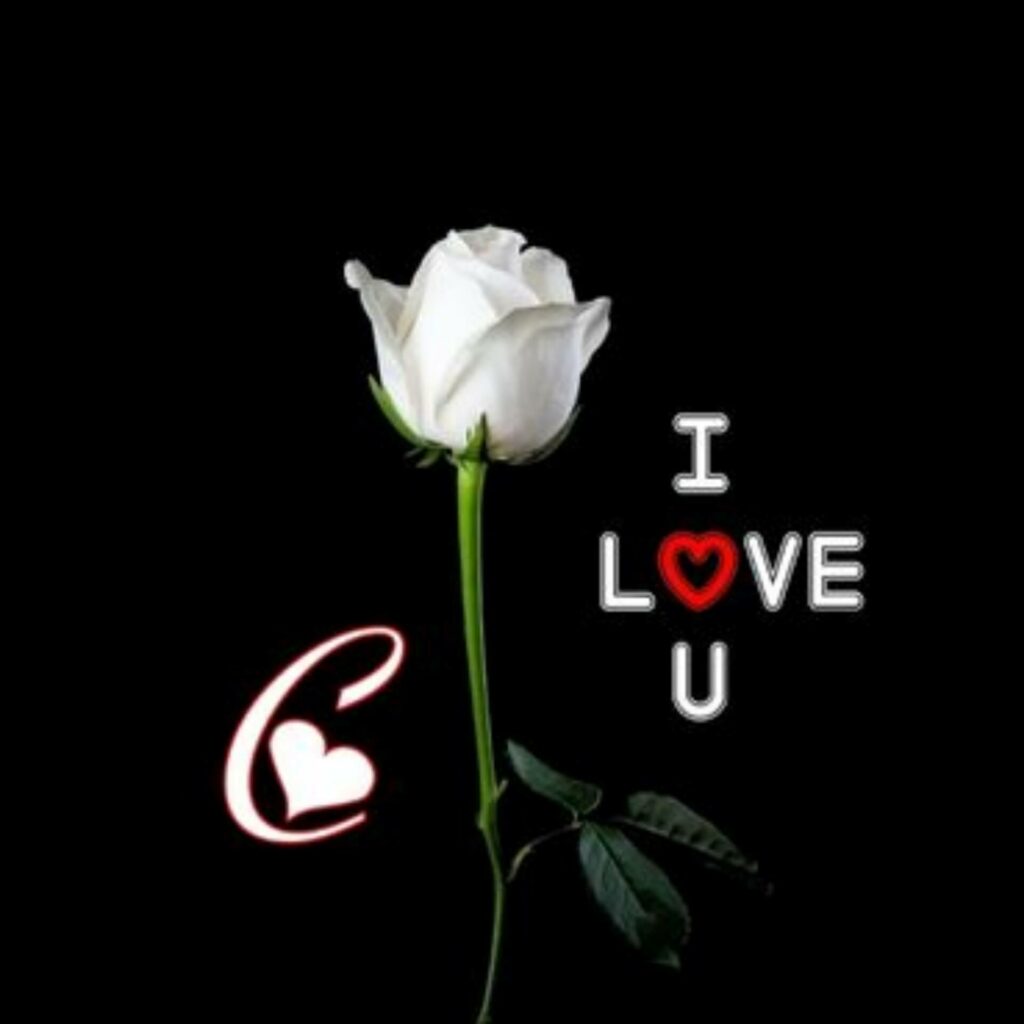 Love DP