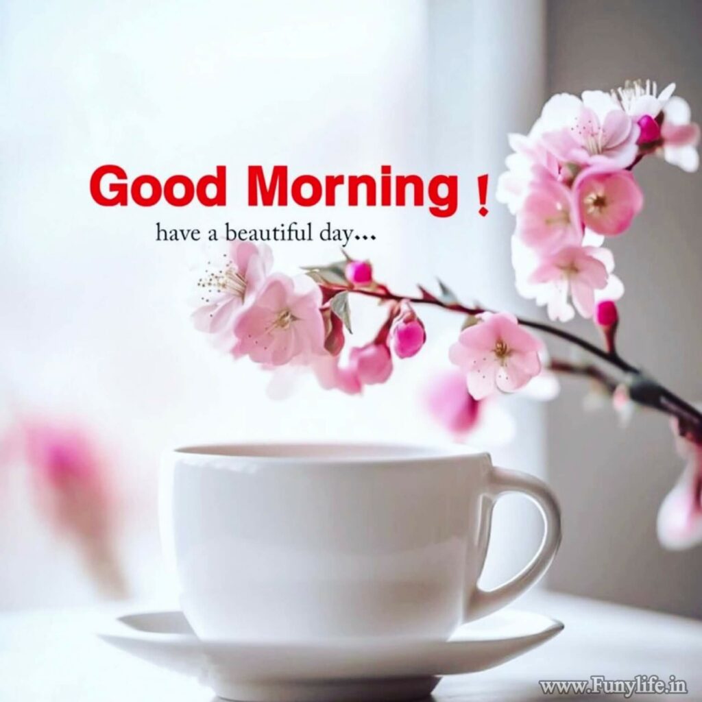 Fresh Good Morning Images