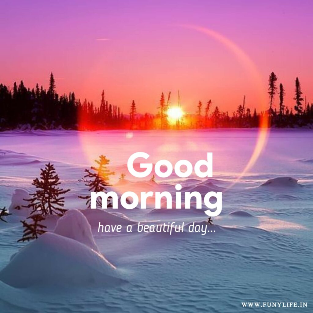 Best Good Morning Images 2023