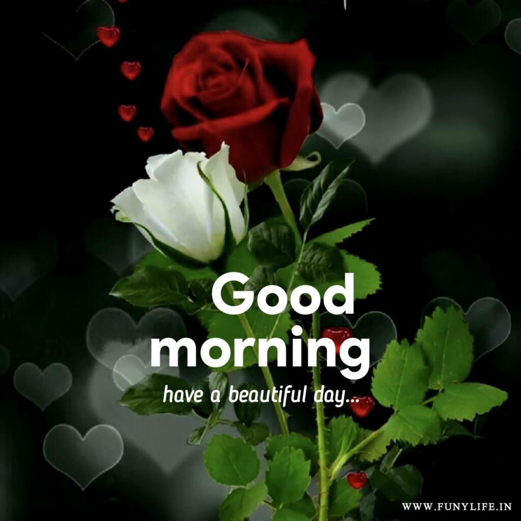 Good Morning Images