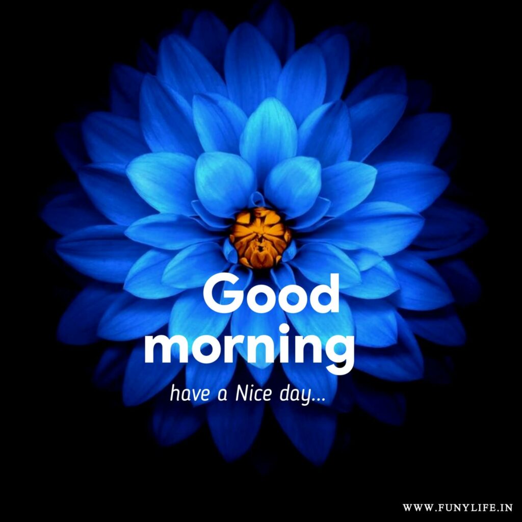 New Good Morning Images