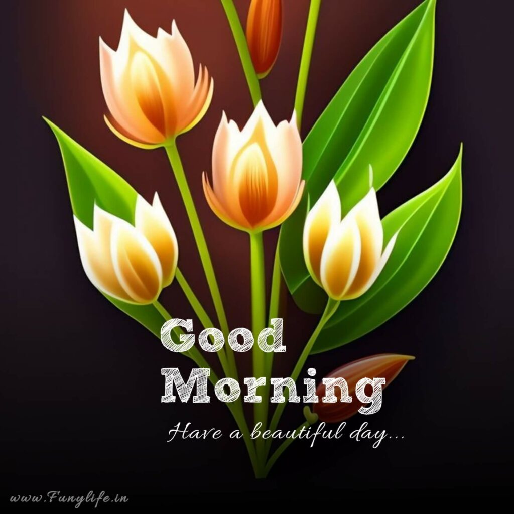 HD Good Morning Images