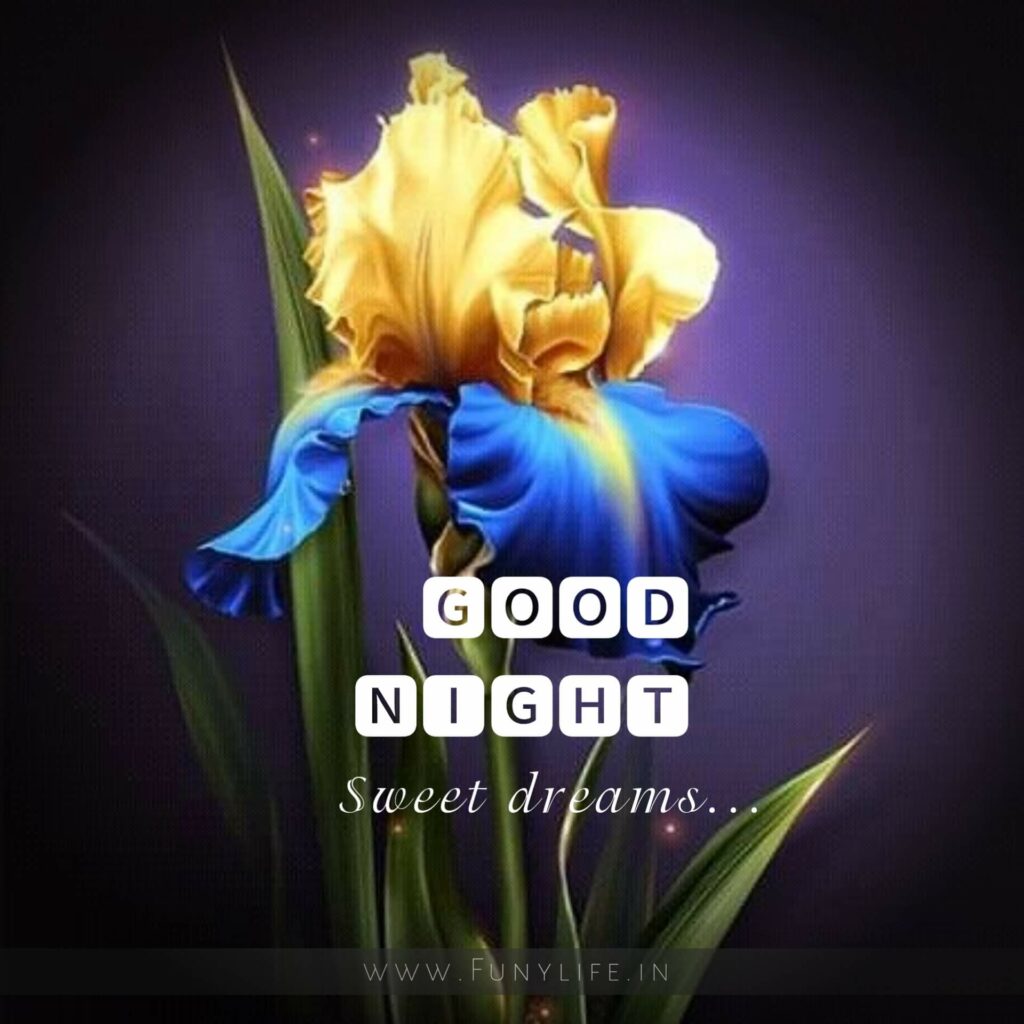 Best Good Night Images
