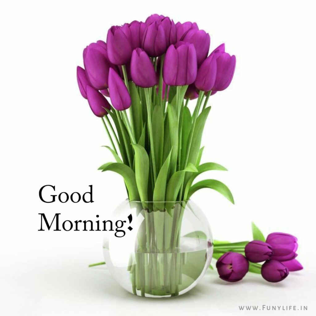 Best Good Morning Images 2023