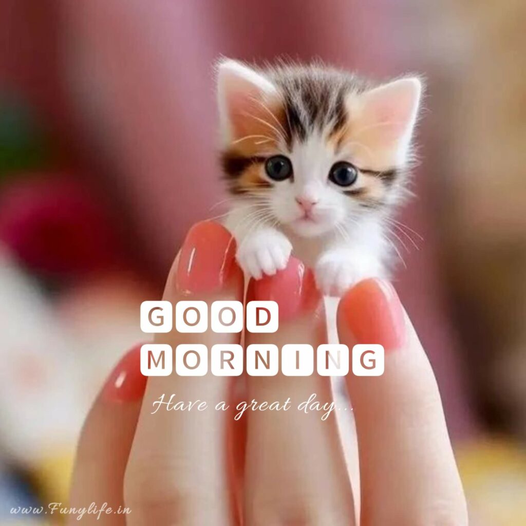 Best Good Morning Images