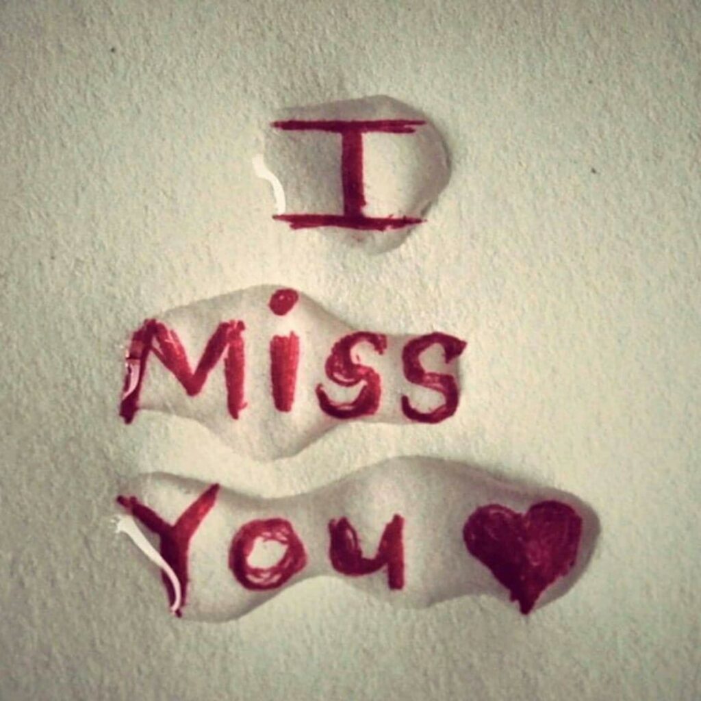 New WhatsApp DP