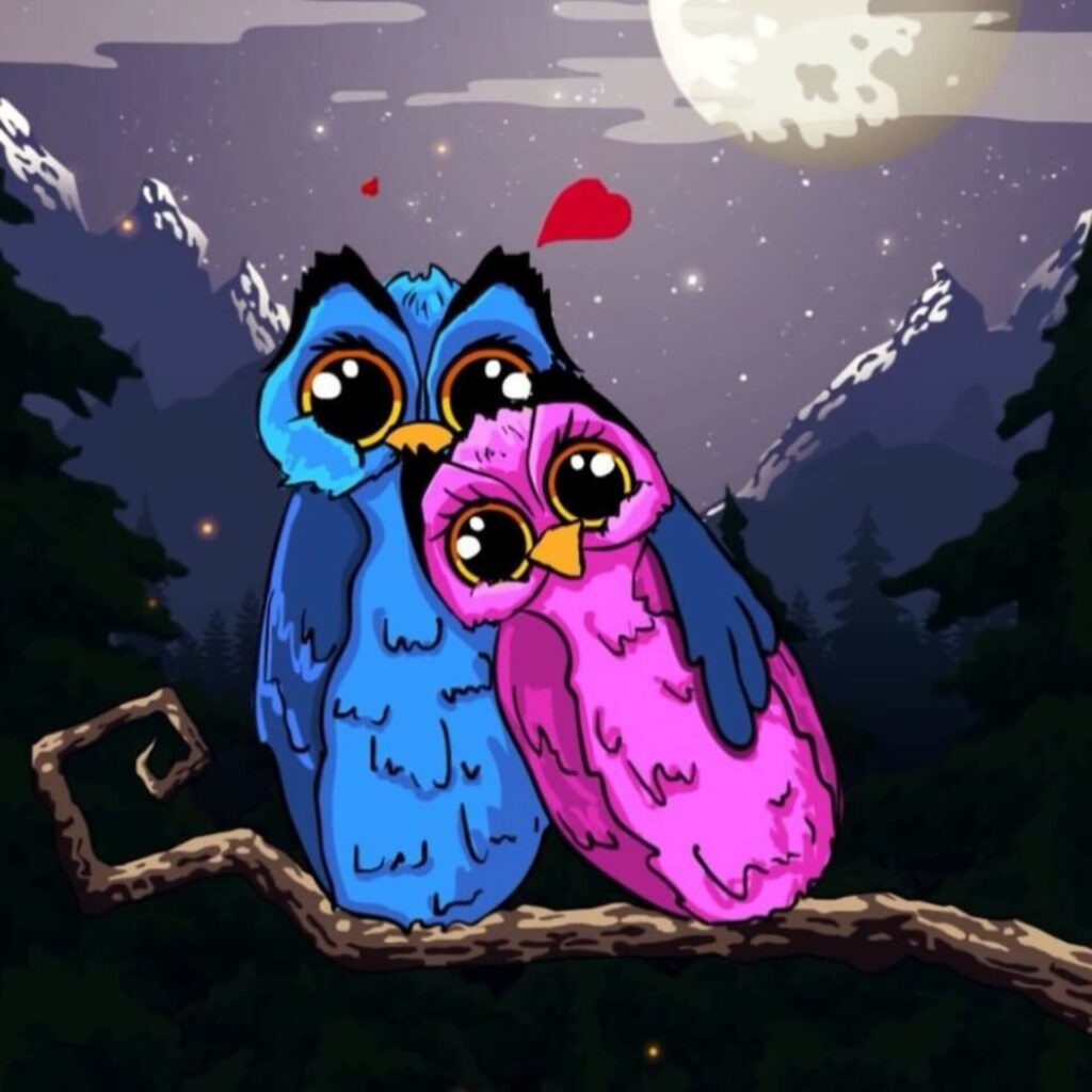 True Love DP
