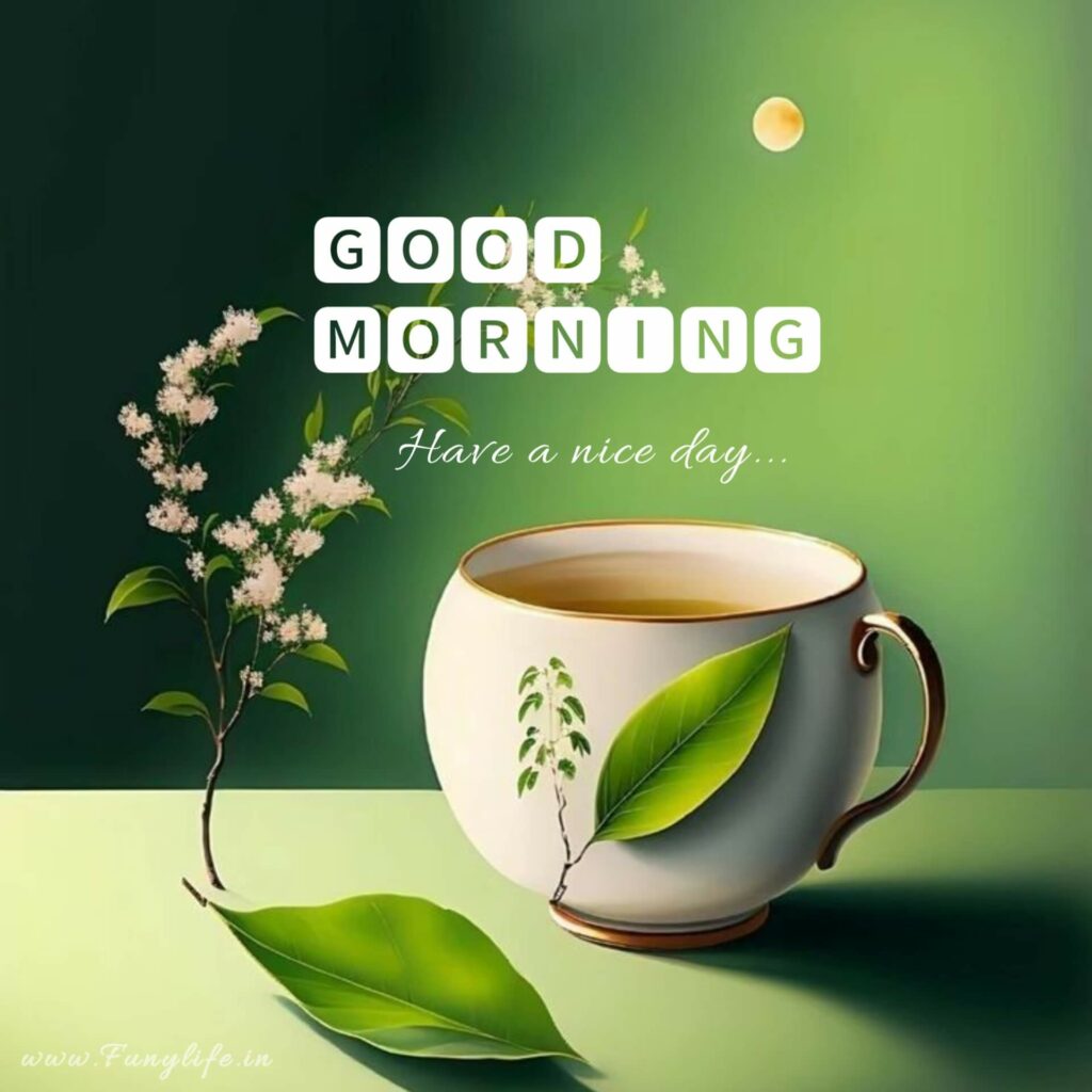 Good Morning Images