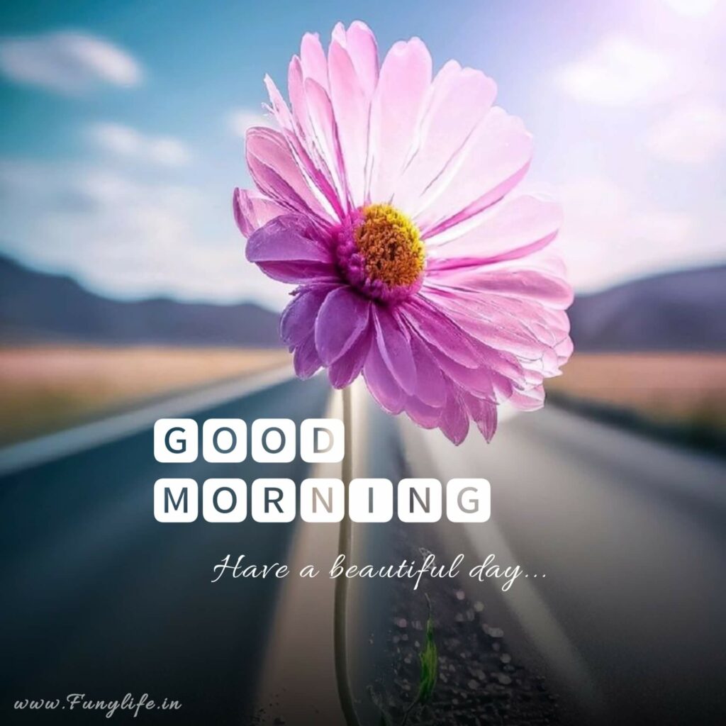 Good Morning Images
