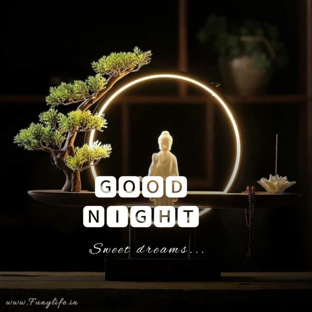 Best Good Night Images

