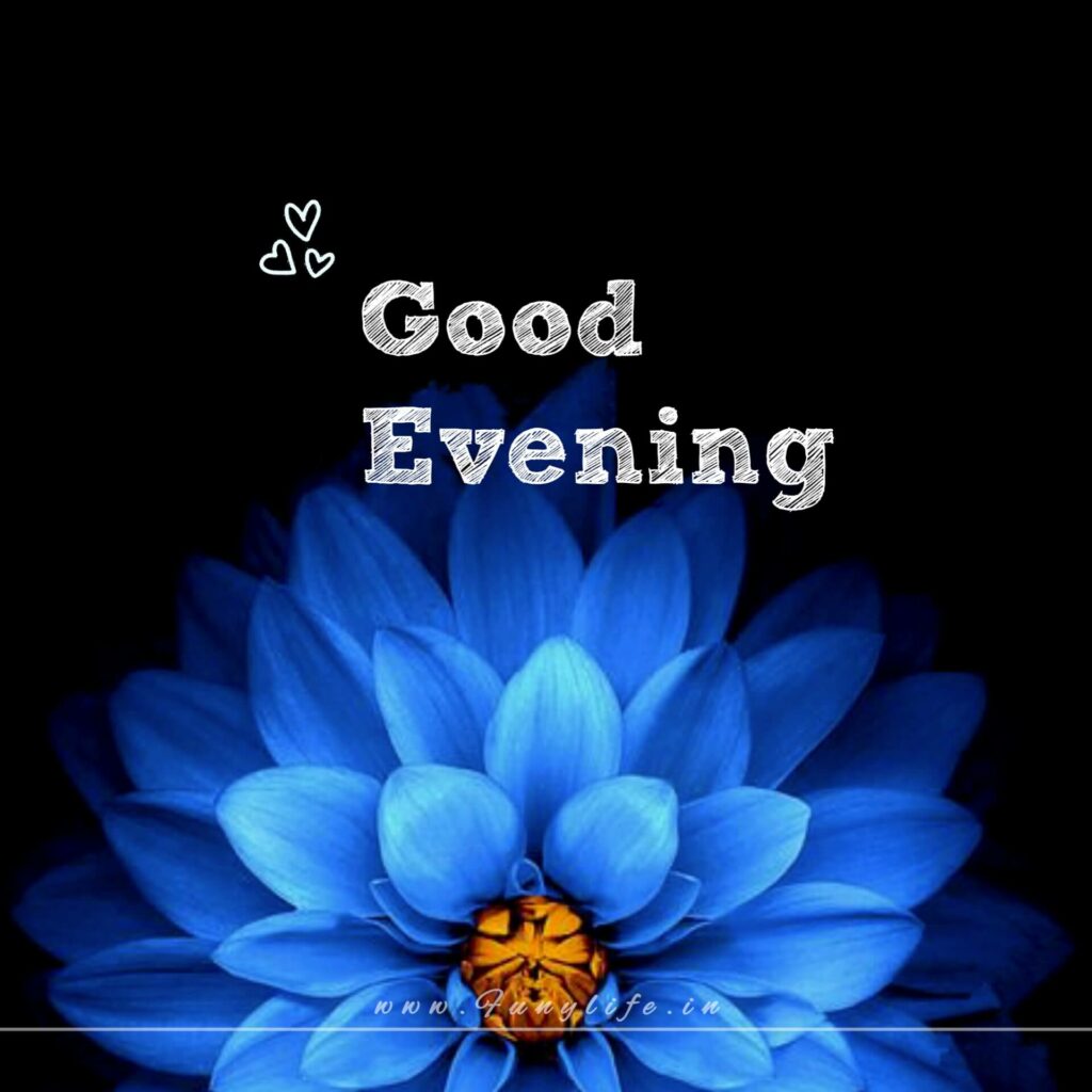 Romantic Good Evening Images
