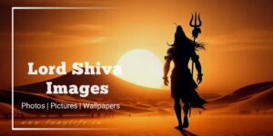 Read more about the article [1007+] HD Lord Shiva Images for DP, Status & Wallpaper (2025)