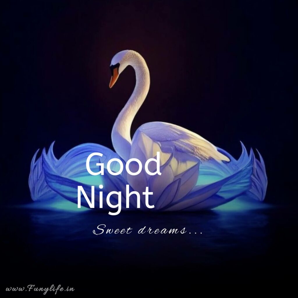 Beautiful Good Night Images
