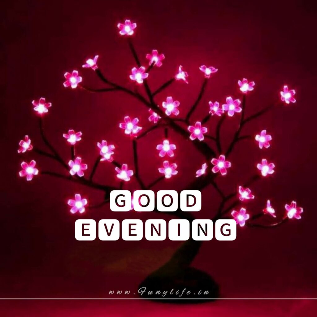 Good Evening Images
