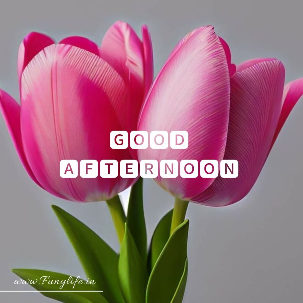 New Good Afternoon Images