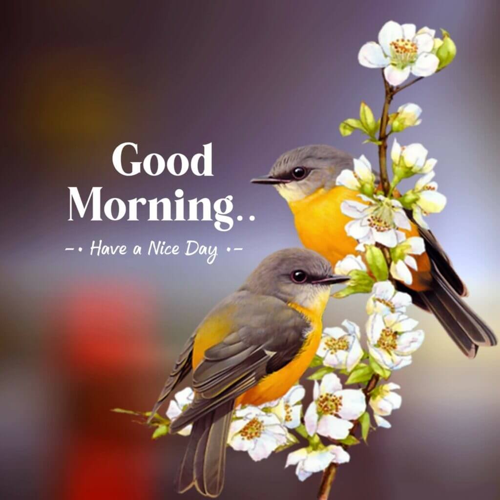 Good Morning Wishes