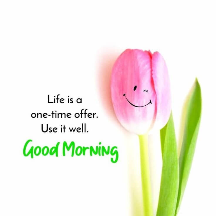 Latest Good Morning Wishes