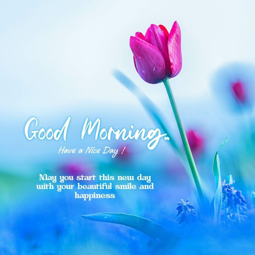Good Morning Wishes For Friends
