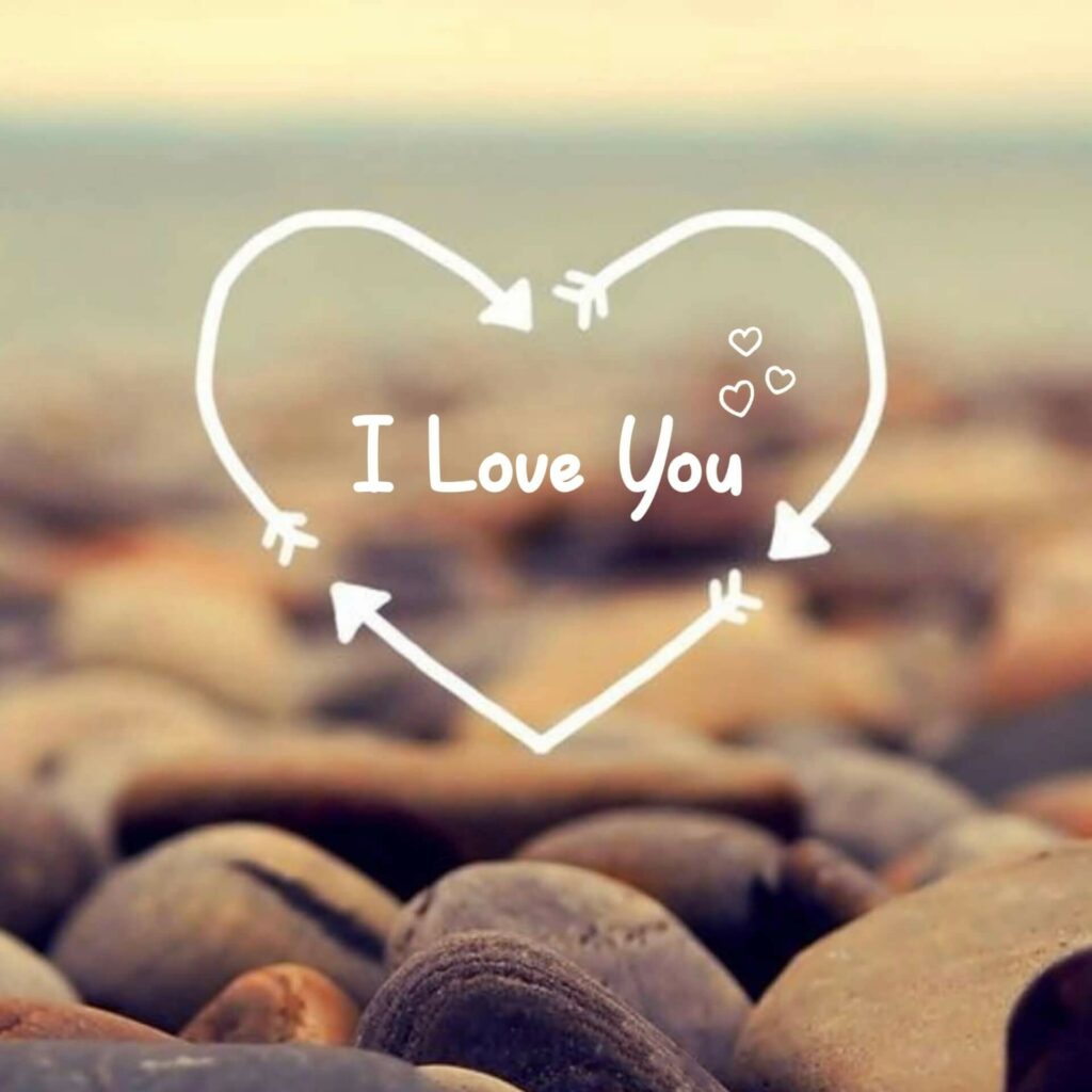 New WhatsApp DP
